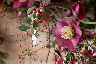 How to make a Christmas garland by Philippa Craddock