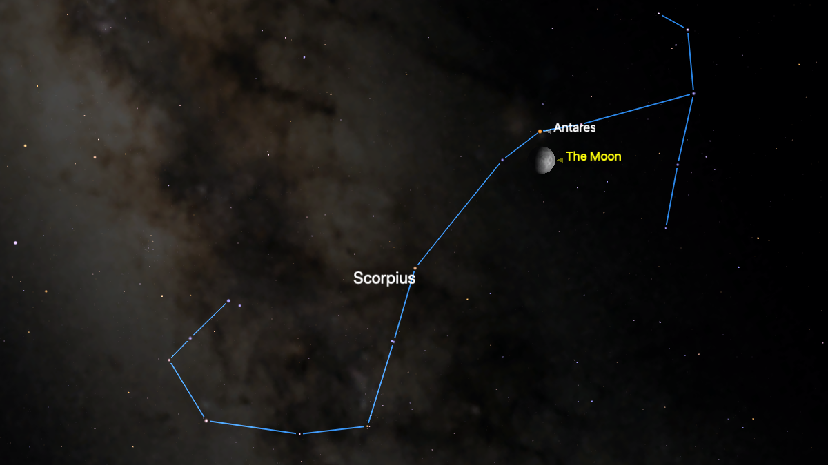 night sky graphic showing Antares shining above and extremely close to the moon in the constellation scorpius.
