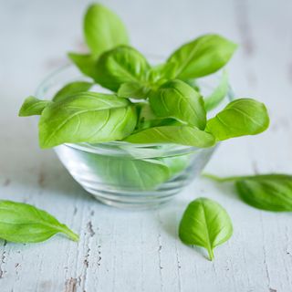 Basil leaves in glass bowl on white wooden table