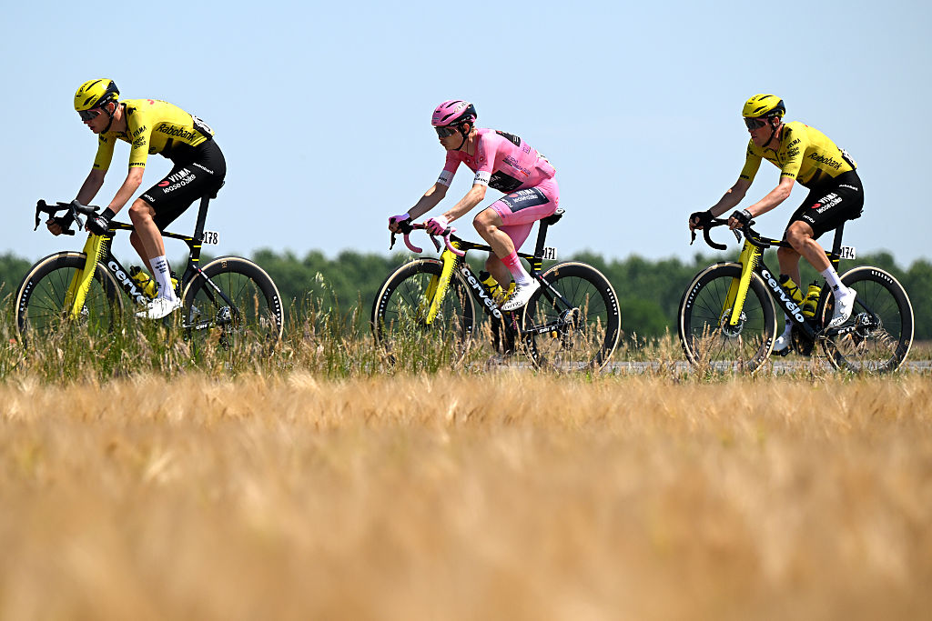 Tim Rex of Belgium, Jonas Vingegaard of Denmark - Pink Leader Jersey and Timo Kielich of Belgium and Team Visma | Lease a Bike