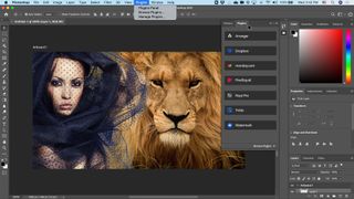 Photo of lion being edited in Photoshop interface