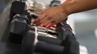 Dumbbells racked at the gym