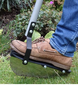 Lawn edge trimmer from the RHS