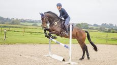 Alex Bragg training a young horse at home