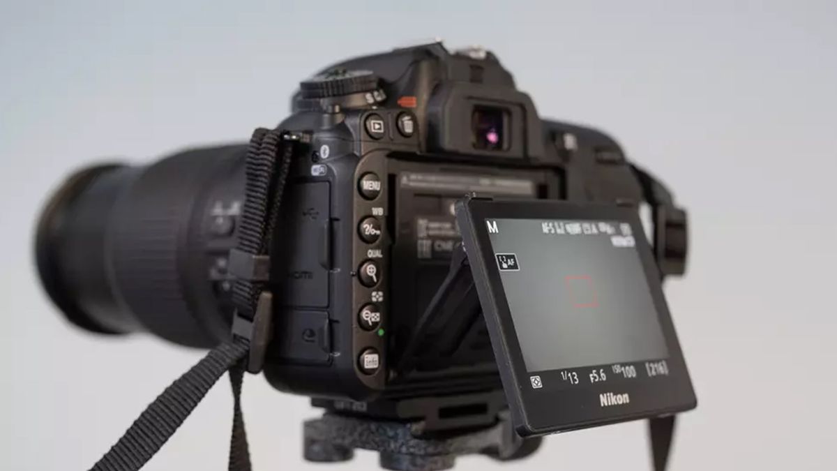 Review photos using the Nikon D7500