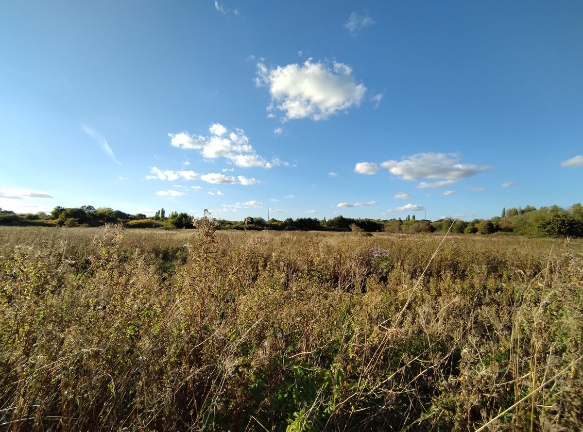 A Motorola Edge 30 Neo camera sample