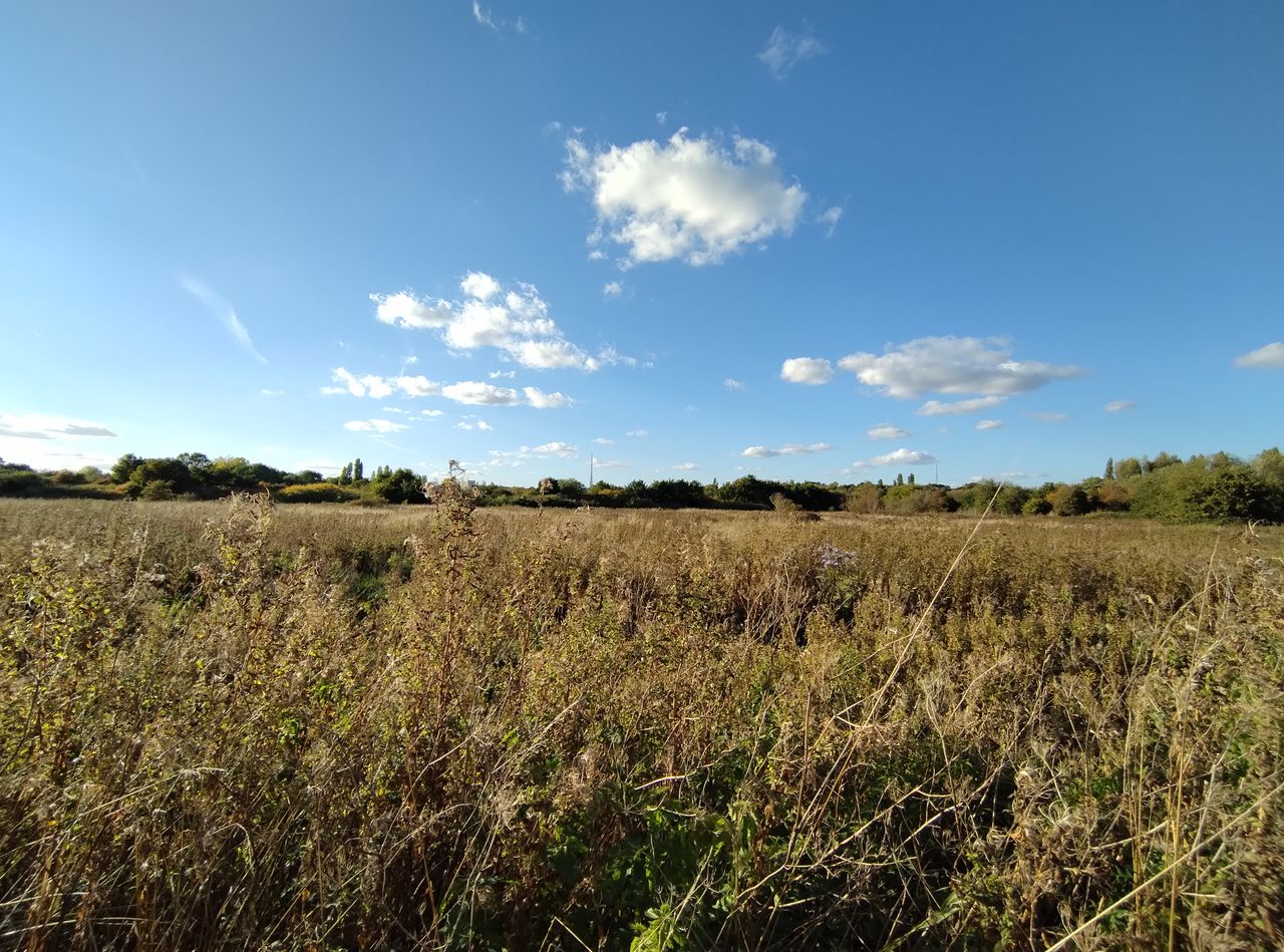 A Motorola Edge 30 Neo camera sample
