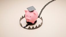 Piggy bank wearing a graduation cap stuck inside an animal trap