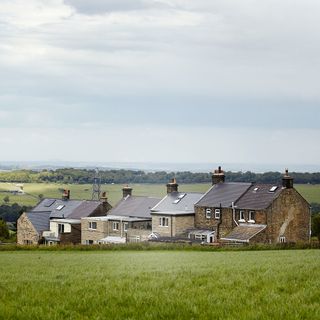 houses with green grass and sky