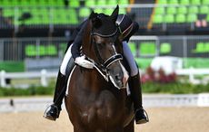 Charlotte-Dujardin_Rio_PN16_34132.jpg