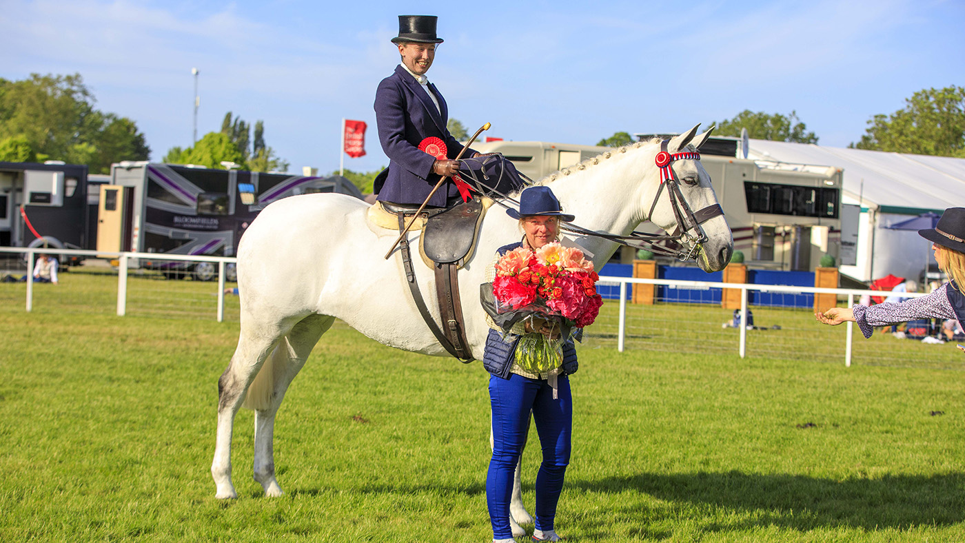 royal windsor bsha ladies' show horse