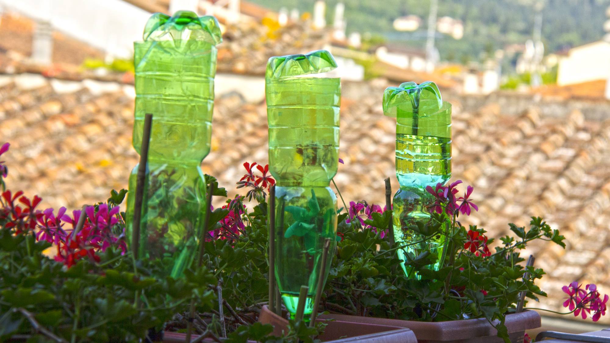 Three green plastic bottles upside down in potted plants on a balcony