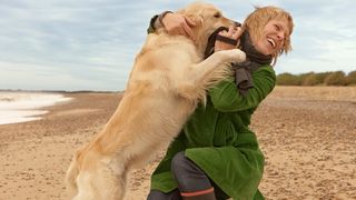 32 common dog behavior problems and solutions