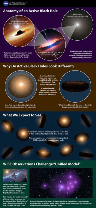 This infographic explains a popular theory of active supermassive black holes, referred to as the unified model -- and how new data from NASA's Wide-field Infrared Survey Explorer, or WISE, is at conflict with the model.