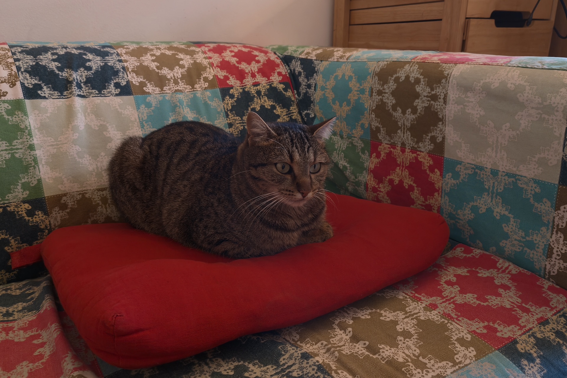 realme GT8 Dream Edition