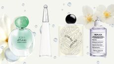 A collage of 'aquatic floral' perfumes features in this roundup from Armani, Issey Miyake, Diptyque and Maison Margiela, arranged in a line over a cream template with white flower stock images and a water droplet overlay