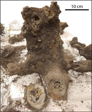 The main body or "trunk" of the studied fulgurite, or, glass created from a lightning strike. The team found traces of schreibersite inside.