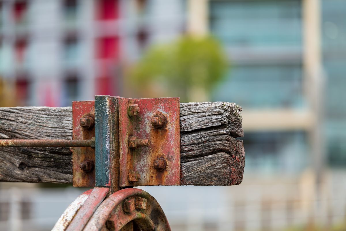Sigma 135mm f/1.4 DG Art example shot