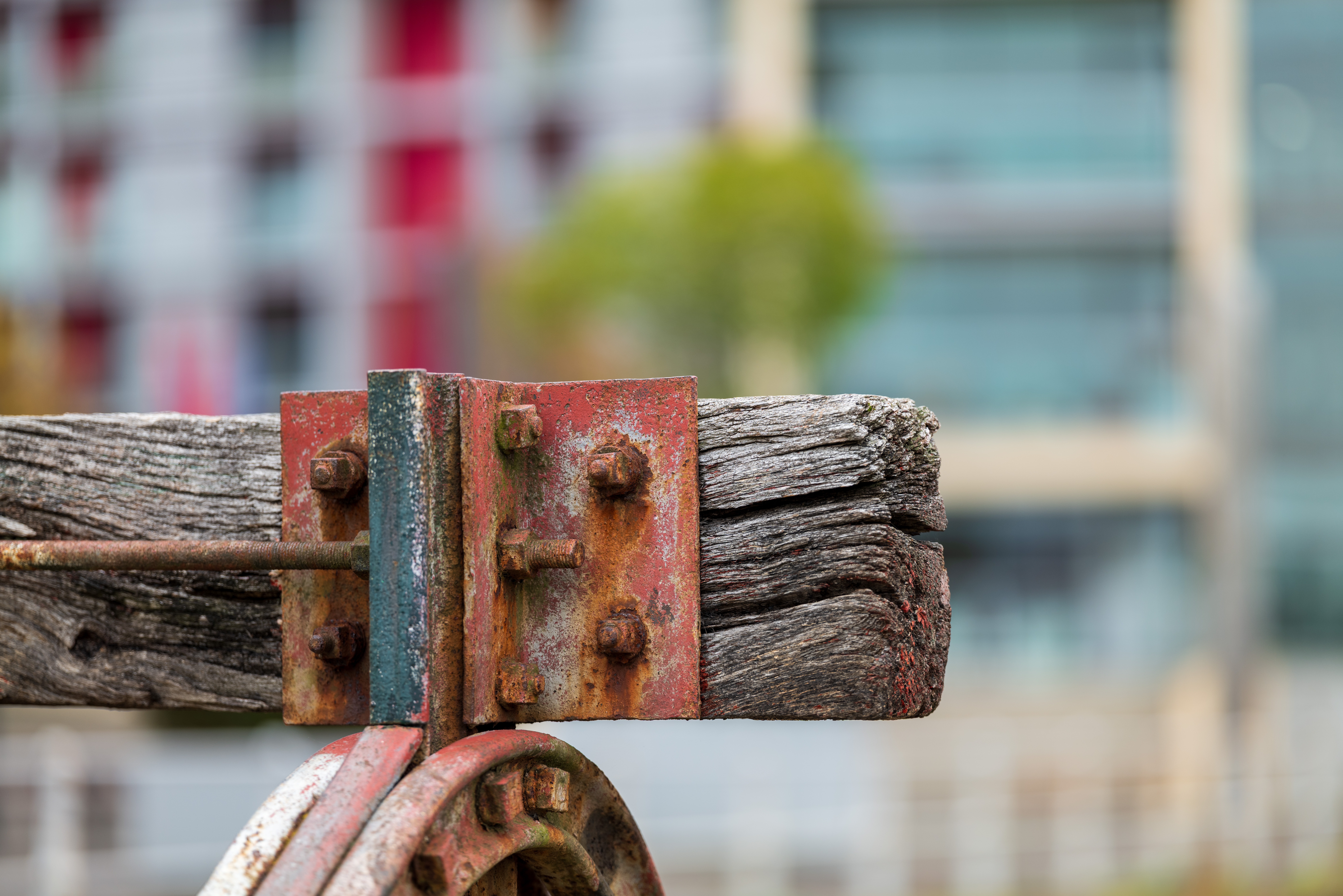 Sigma 135mm f/1.4 DG Art example shot