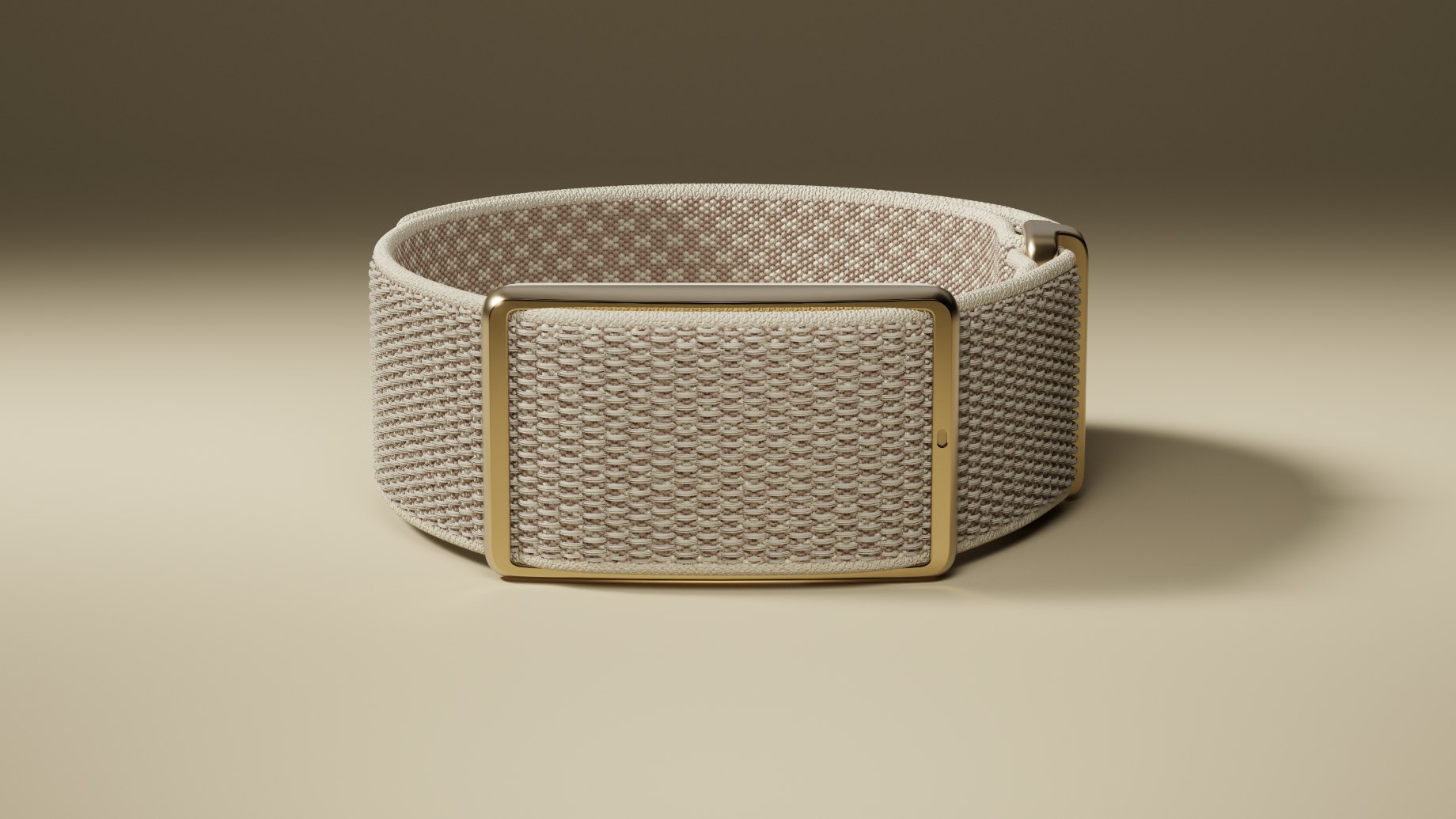 Polar Loop screenless