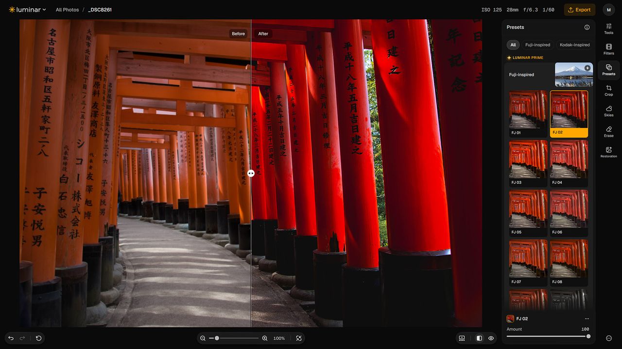 Sklylum Luminar on Web screenshot