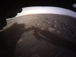 This is the first color image that NASA's Perseverance rover returned from the surface of Mars.