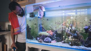 Man cleaning fish tank