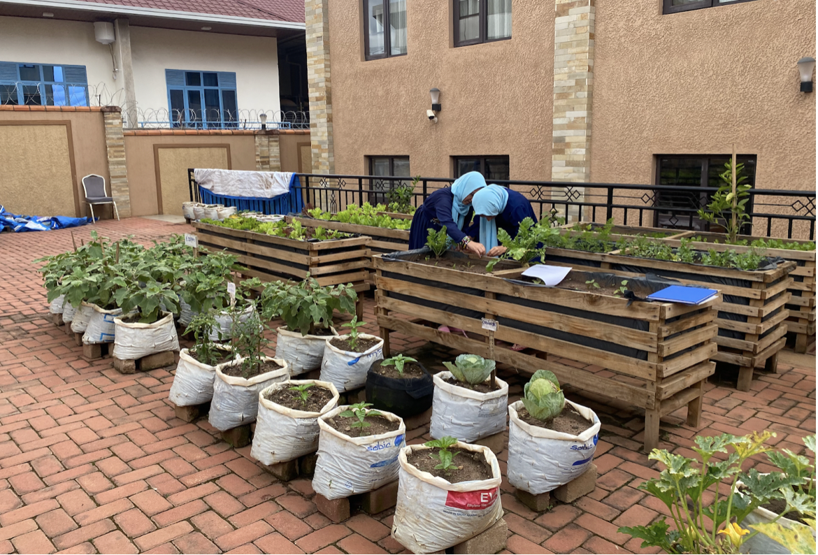 students gardening at SOLA school