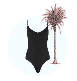 Arecales, Graphics, Palm tree, Illustration, Drawing, Painting, Silhouette, Artwork, Clip art,