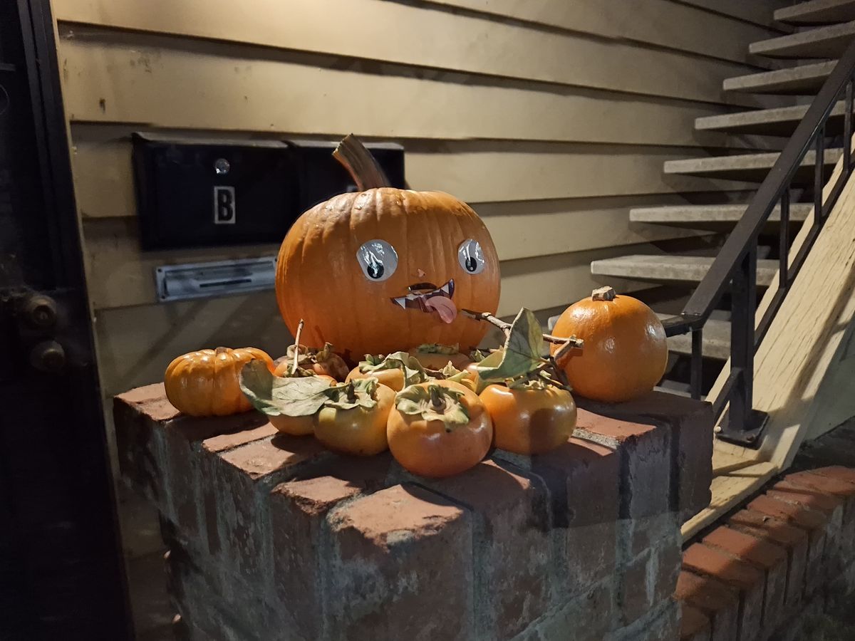 An assortment of pumpkins shot at night by the Galaxy a35