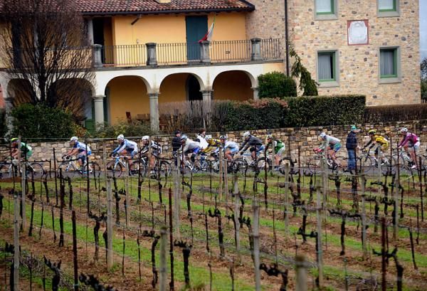 The peloton in action during the Trofeo Franco Balestra.