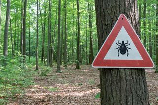 A warning sign for ticks in a forest