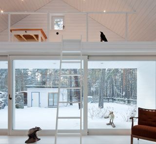 Wood cabin living area and loft