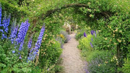 how much does a cottage garden cost? what to budget for: arch over path
