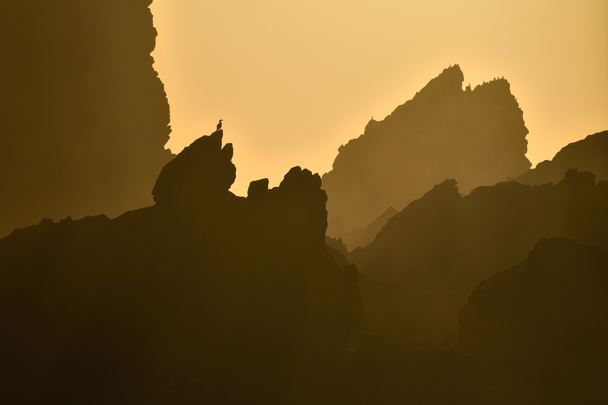 Silhouettes of jagged rocks and perched birds against a golden, misty sky at sunrise or sunset.