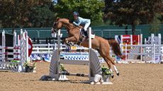 C39-ACTION.jpg