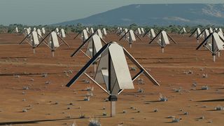 An artist’s impression of the SKA’s low frequency antennas that will be located in Australia.