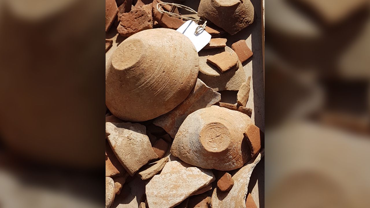 The students uncovered hundreds of pottery pieces at the fortress.