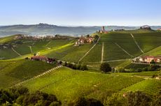 The town of Barbaresco