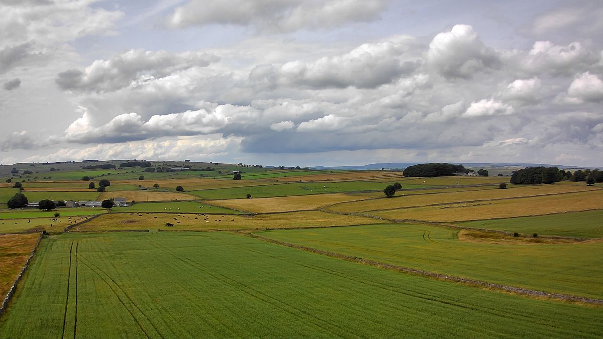 Photograph taken with the Bwine F7GB2 drone