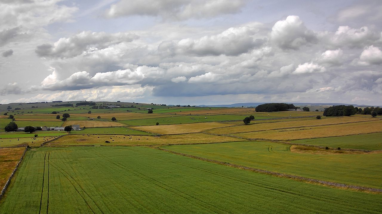 Photograph taken with the Bwine F7GB2 drone