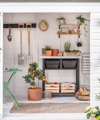 white garden shed with orange plant and potted plants