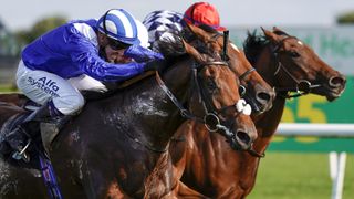 Jim Crowley riding Tawaareq at the St Leger Stakes horserace