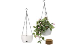 hanging planter