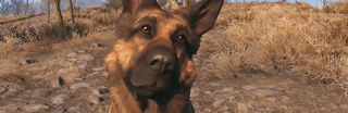 Fallout 4 dog Slide