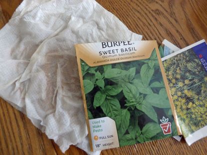 Wet Seed Packets