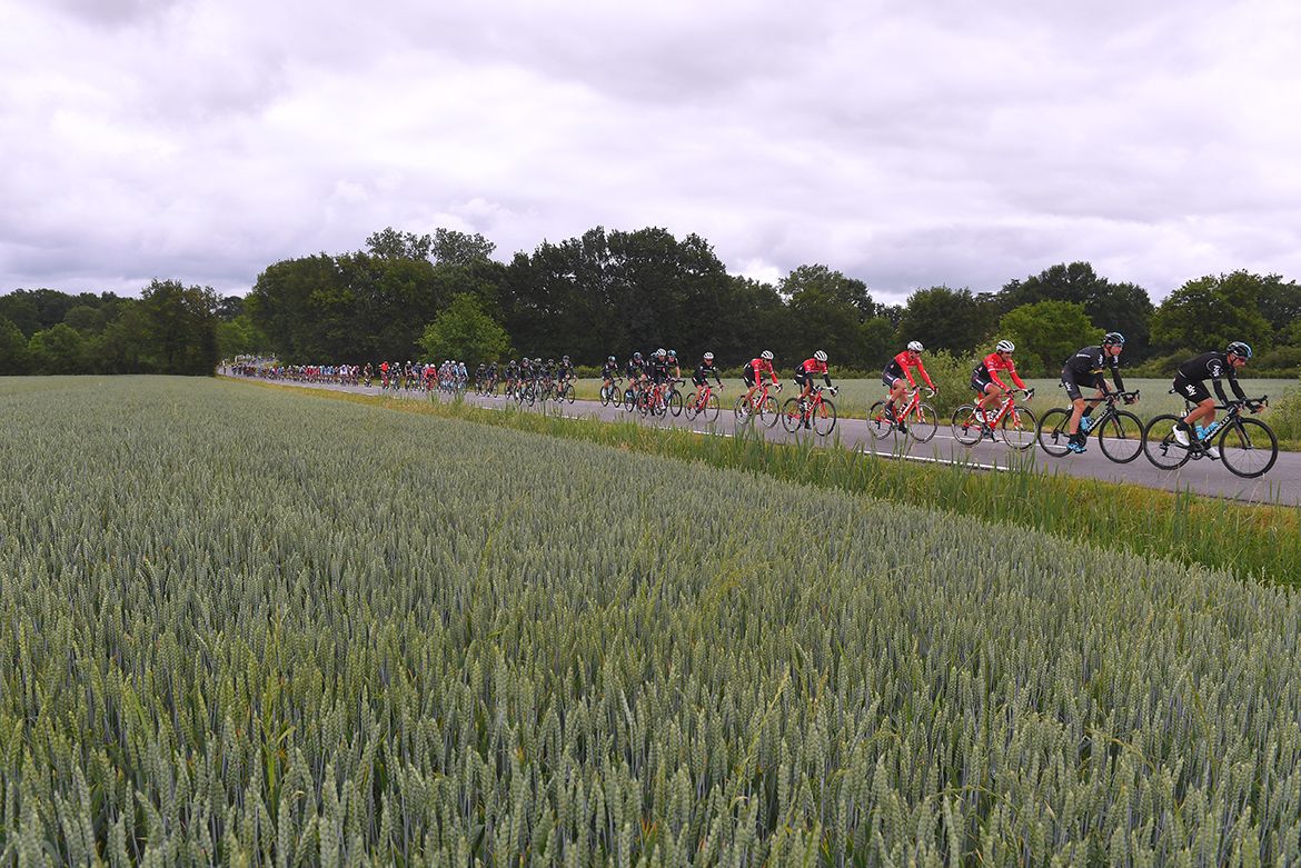 Trek-Segafredo and Sky shared much of the pace-setting on stage 1 of the Crit&eacute;rium du Dauphin&eacute;