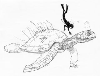 sketch of ancient sea turtle