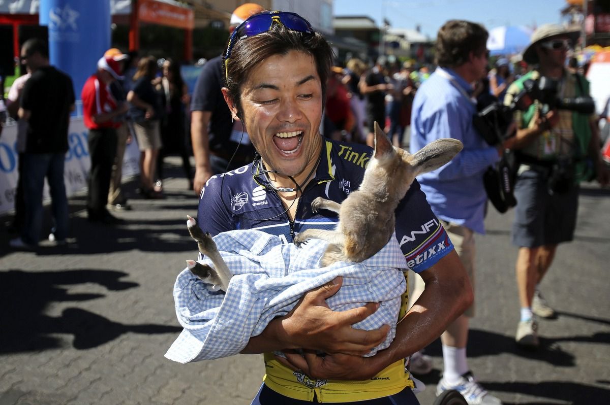 Hold on! Takashi Miyazawa struggles to contain the joey