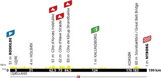 Stage 2 profile for the 2021 Tour de France